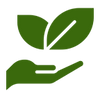 Naturally Purifying